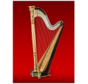 Horngacher Harmony pedal harp