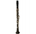 RZ Capriccio Series A clarinet (RZ-CL9501-0)