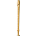 Hohner Melody B9508 C soprano recorder