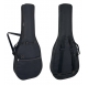 PURE GEWA Guitar Case TURTLE SERIE 103