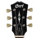 Cort Co-CR200-GT electric guitar - gold top