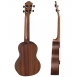 Baton Rouge UV41-C-NMP concert ukulele