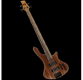 clark bass guitar