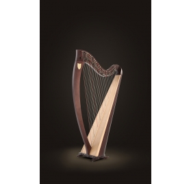 Lyon & Healy Odgen 34 string lever harp