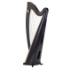 Lyon & Healy Odgen 34 string lever harp