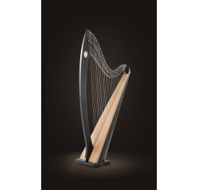 concert grand lyon and healy harp