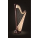 Lyon & Healy Chicago CG Extended pedal harp - 47 string