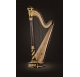 Lyon & Healy Prince William Gold pedal harp - 47 string