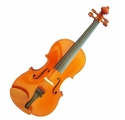 Garry Paul violin set - 4/4