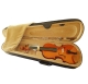 Garry Paul violin set - 4/4