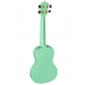 Baton Rouge UR1-C-MAG concert ukulele