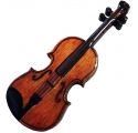 Violin magnet