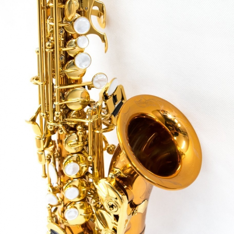 5030S - Contralto Sax - L.A.RIPAMONTI, master professional