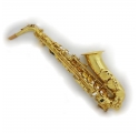 L.A.Ripamonti 5030 alto saxophone