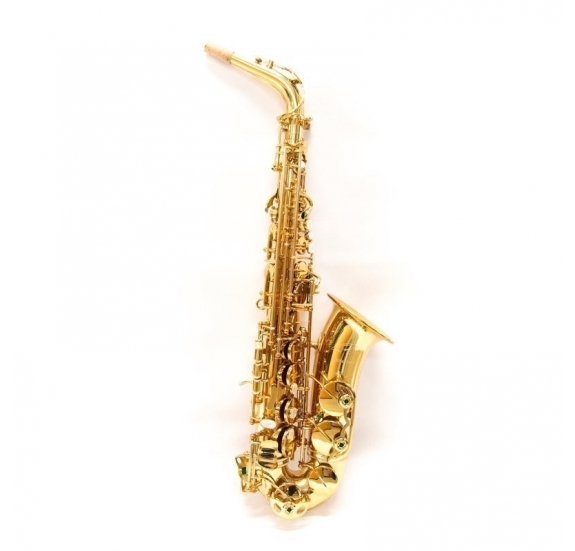 L.A.Ripamonti 5030VFRGL-SS alto saxophone