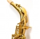 L.A.Ripamonti 5030VFRGL-SS alto saxophone