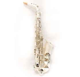 L.A.Ripamonti 5030VFRSS-SS alto saxophone - silver satin