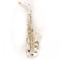 L.A.Ripamonti 5030VFRSS-SS alto saxophone - silver satin