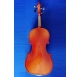 EnisTone 4/4 violin