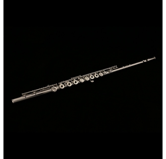 L.A.Ripamonti FL4550SE C flute - Silver headjoint, open holes