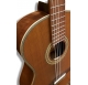 La Mancha Aliso guitar