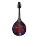 Electro acoustic mandolin