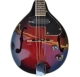 Electro acoustic mandolin