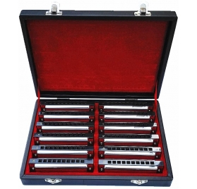 Swan 1020 Blues Deluxe 12db-os harmonika készlet - 1 oktáv