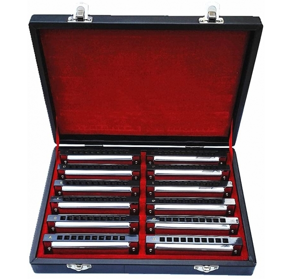 Swan 10 Holes 20 tones Harmonica Harp Blues Harmonica Diatonic Harmonica Set 12 Keys