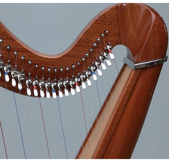 Avery 38 String Celtic Harp