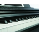 Talento M-8 hammer action digital piano