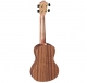 Baton Rouge UR11-C pineapple concert ukulele