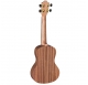 Baton Rouge UR11-C cactus concert ukulele