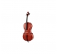 Hidersine Uno 3172A 4/4 cello set