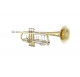 Vincent Bach VBS1S trombita