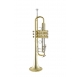 Vincent Bach VBS1S trombita