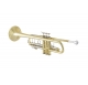 Vincent Bach VBS1S trombita