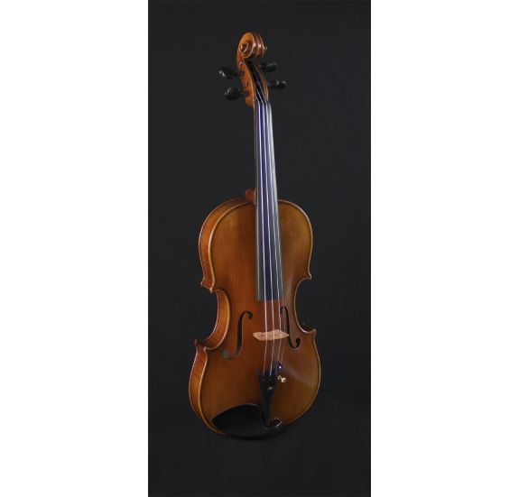 Hidersine Veracini Academy W3194A-4/4 Violin-Set (Wittner)