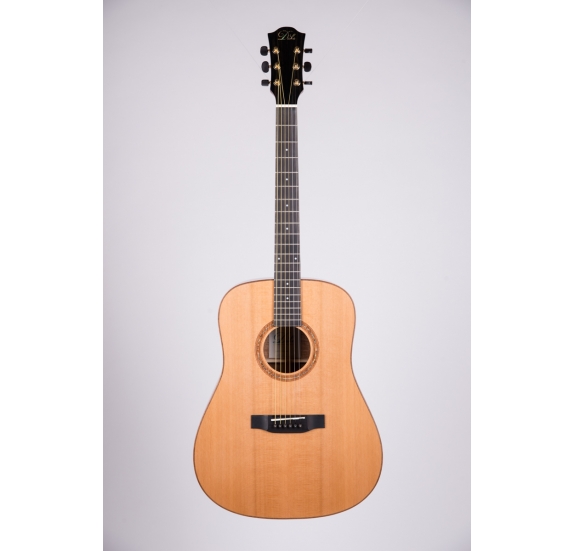 Duke D-MC Solid acoustic guitar