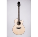 Duke GA-PF Cut acoustic guitar