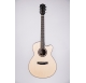 Duke GA-PF Cut Satin acoustic guitar