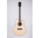 Duke GA-PF Cut Wide acoustic guitar