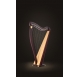 Lyon & Healy Drake 34 string lever harp