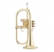 Garry Paul GP-8355 flugelhorn