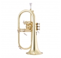 Garry Paul GP-8355 flugelhorn