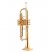 Garry Paul GP-TR-8338G Bb trumpet