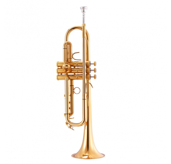 Garry Paul GP-TR-8338G Bb trumpet