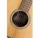 Baton Rouge TLA/D Alder acoustic guitar