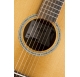 Baton Rouge TLW/A Wild Service Tree acoustic guitar