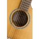 Baton Rouge TLM/ACEC Flamed Maple elektroakusztikus gitár